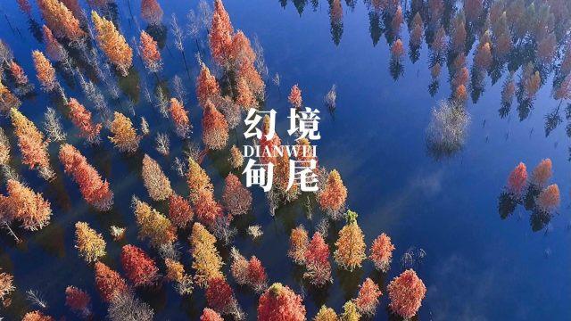 本宫来自古代